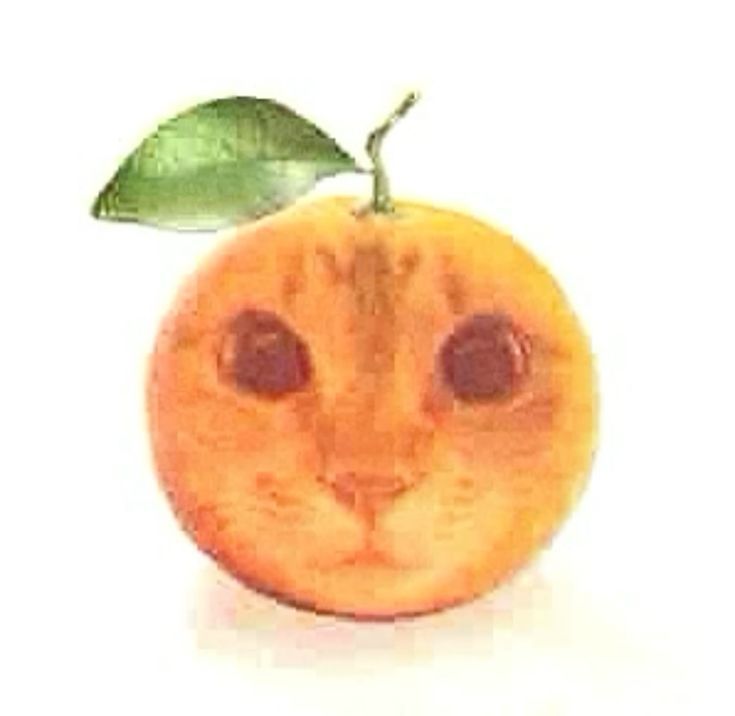 fritzdidthat