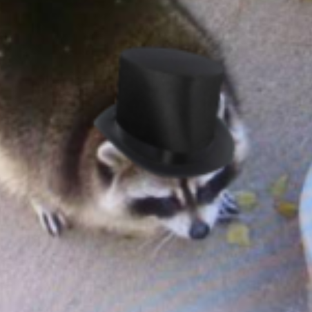 chonko 