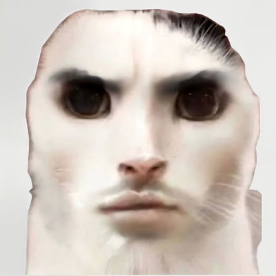 AnMon