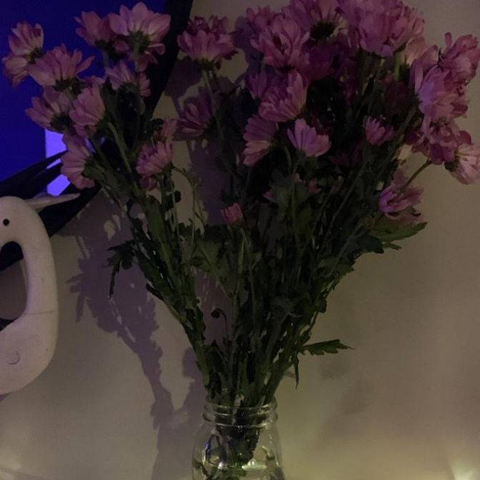 ElieTheActress