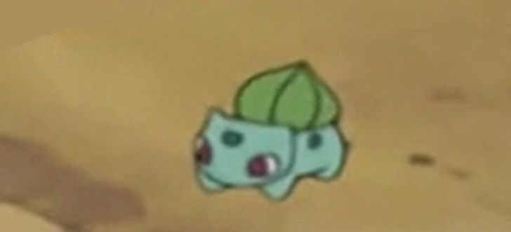 shib