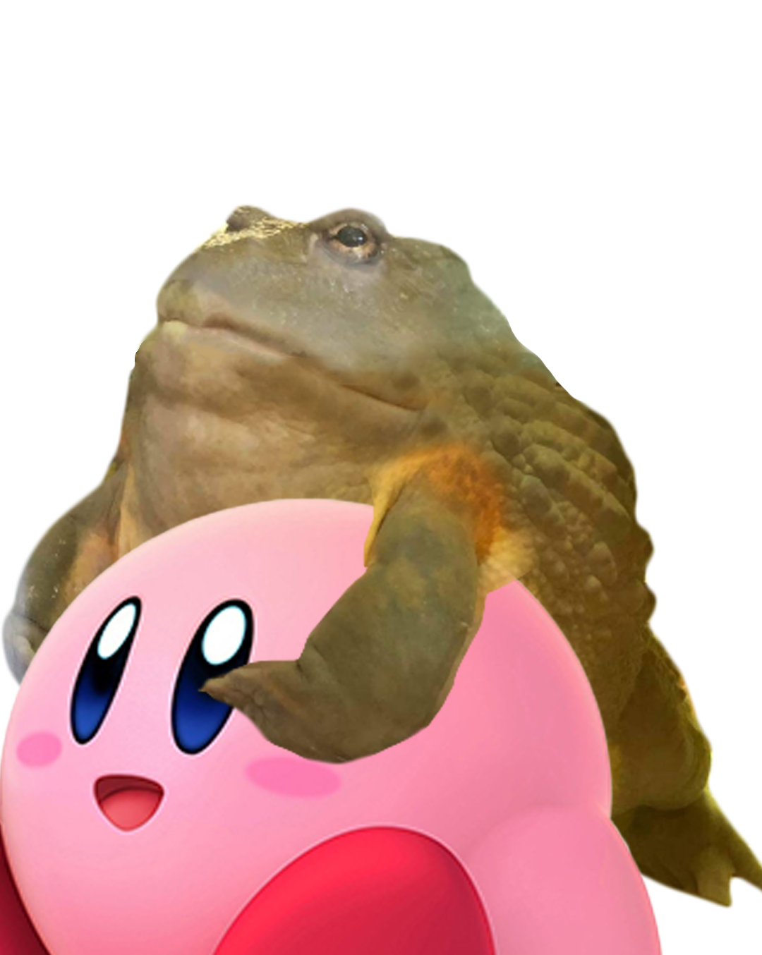 Dewbert