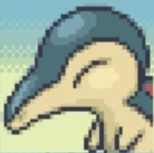 Stupid Cyndaquil