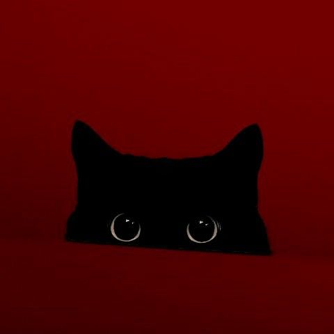 ~`•Lynate•`~