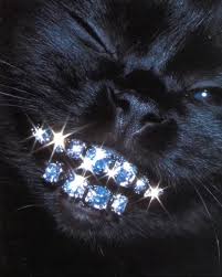 Shadow Cat