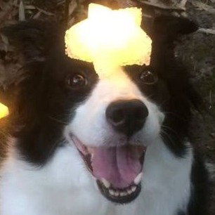 Jai