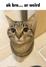 ready to play