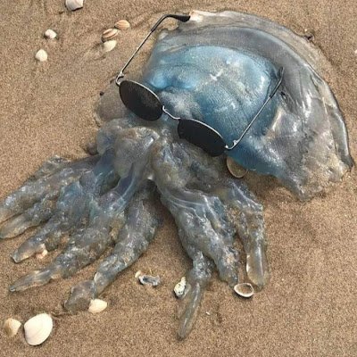 UntitledStreamer