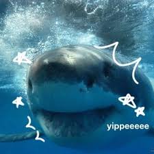 IlovesharksXD