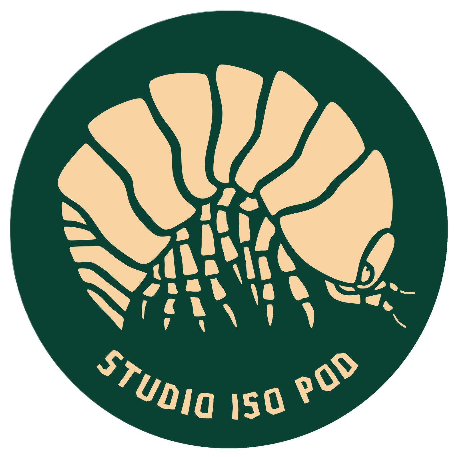 Studio Iso Pod