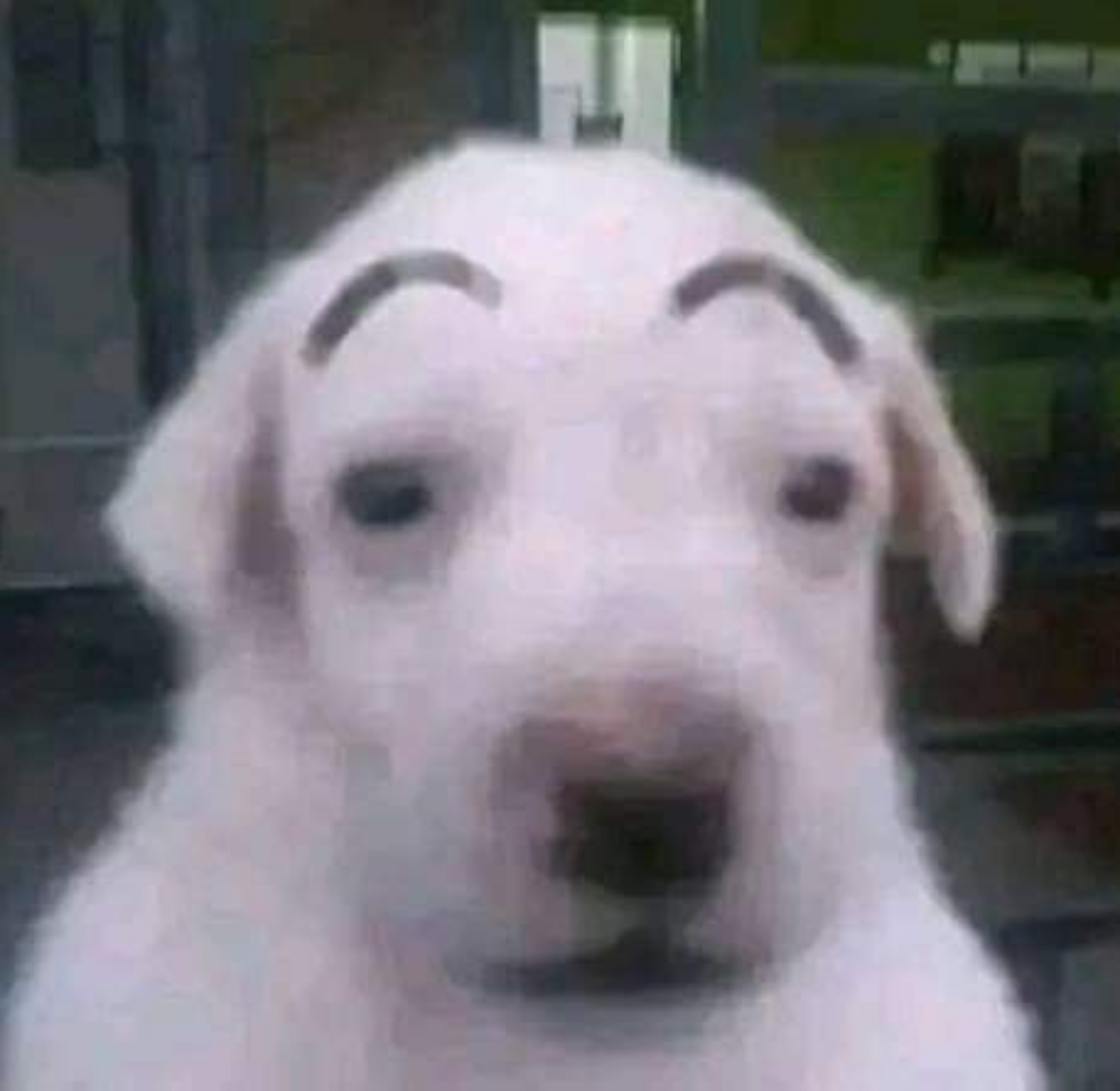 duco
