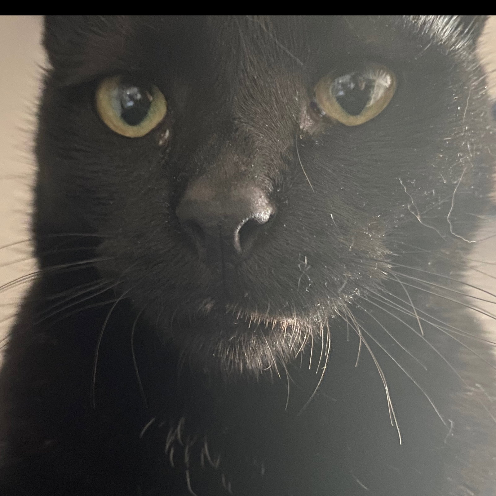 Kimi<3