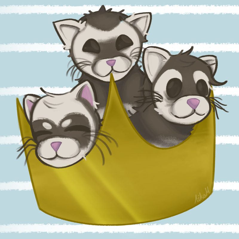 Ferret King of the West