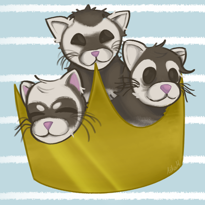 Ferret King of the West