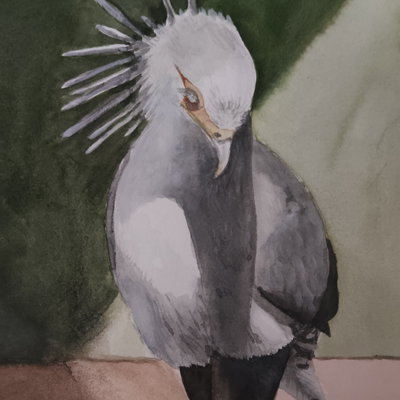Enilemra