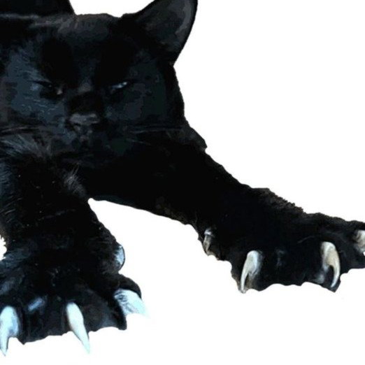 CLAWING NAILS STUIDO/PRODUCTION!