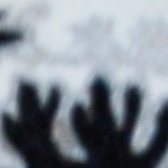 Shadow