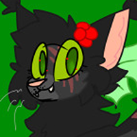 Holly