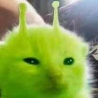 groob