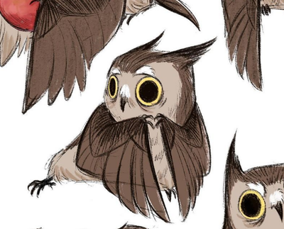 owl