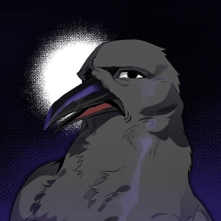 NOX_CROW