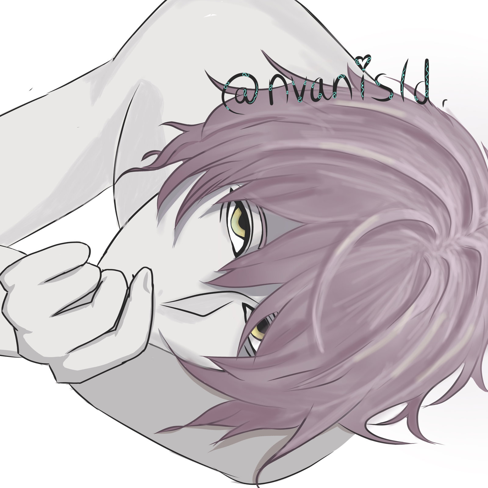 NvaniVA