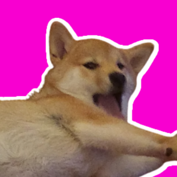 DillonDoge