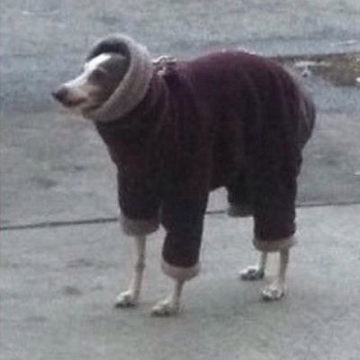 Eggotinio