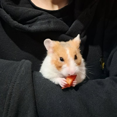 Maxg