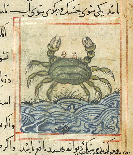 Kaniwaza