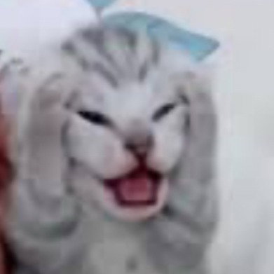 CozyCaramel