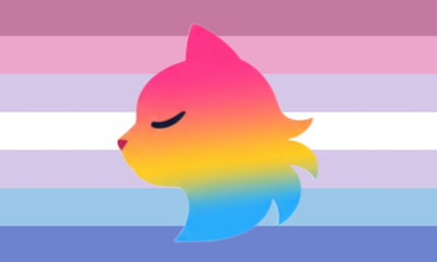 Pansexual Kitty