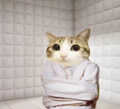 Melt todd