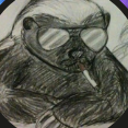 BMbadger08