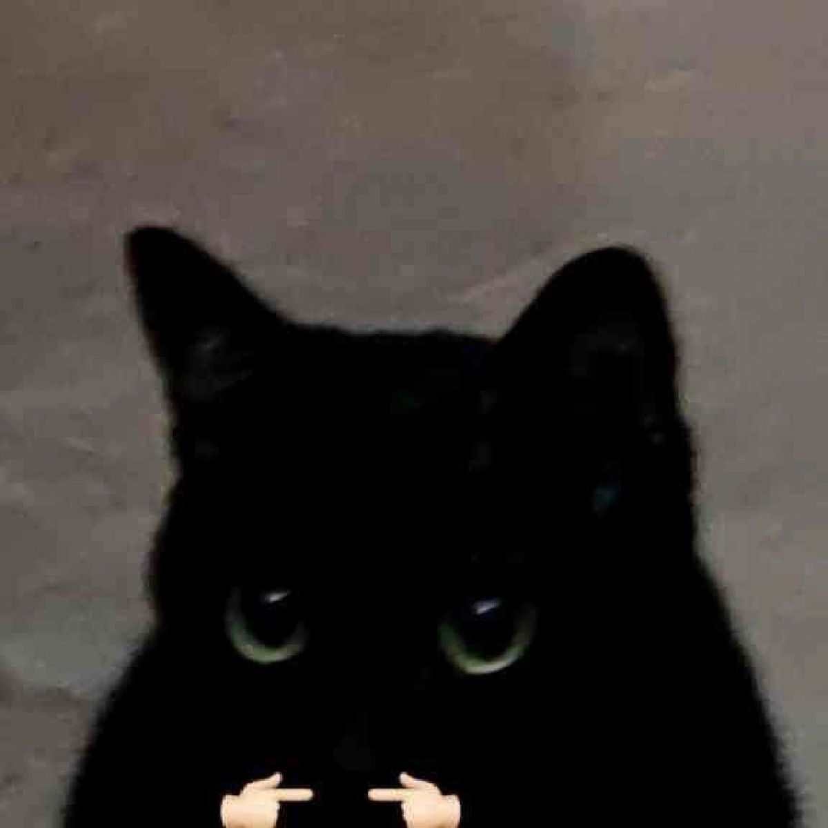 sp00gles
