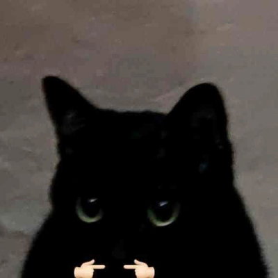 sp00gles