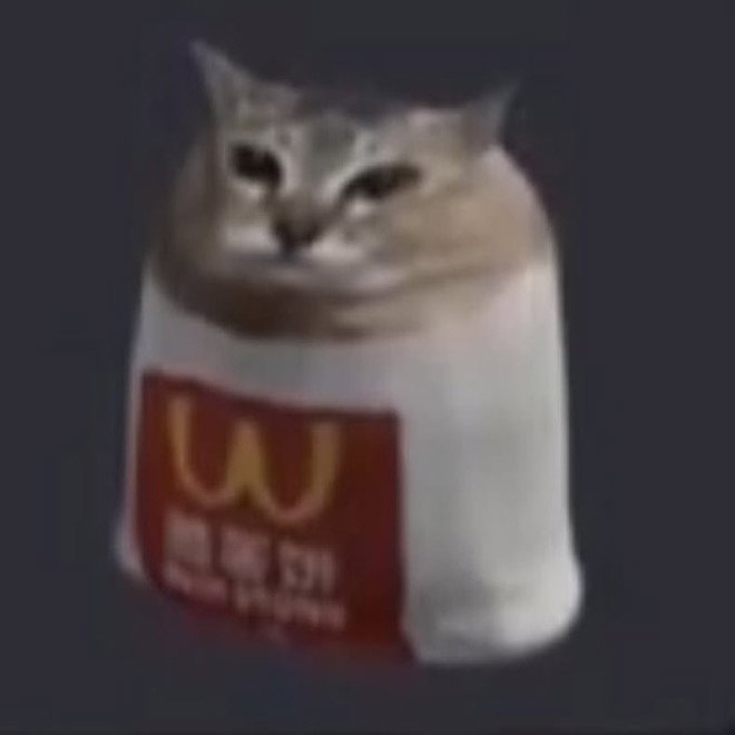 Tabboo
