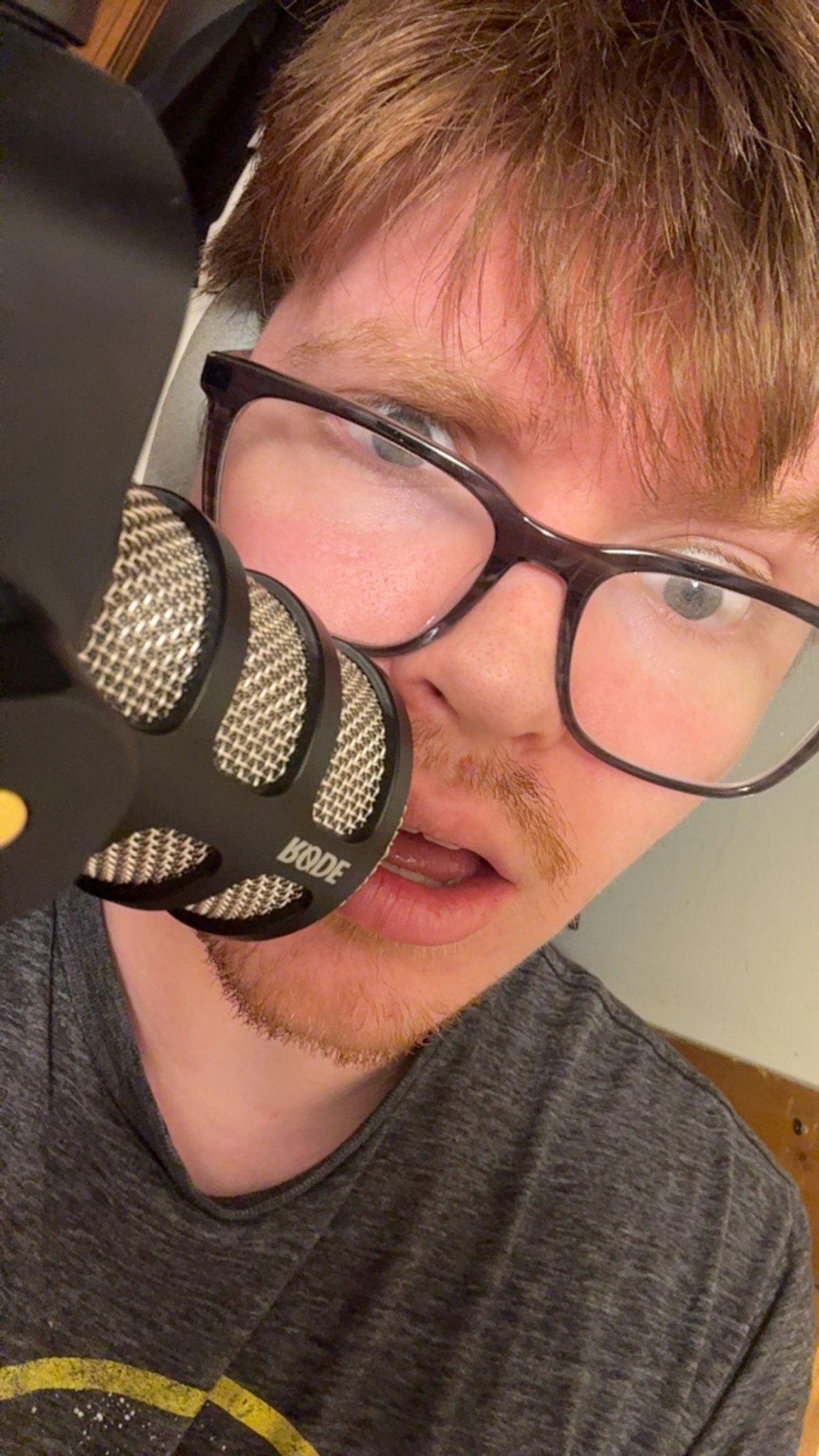 Mr. Voiceman