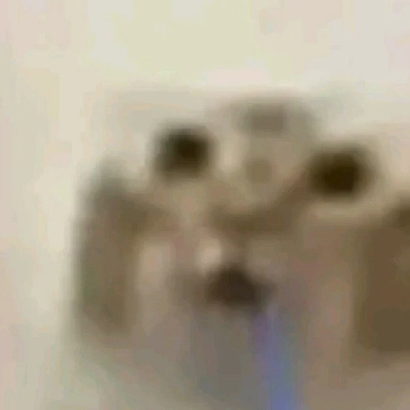 Egg