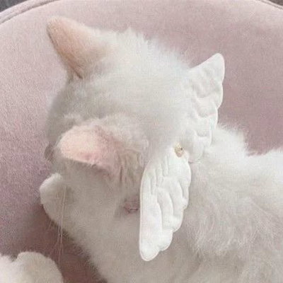 Angelbat