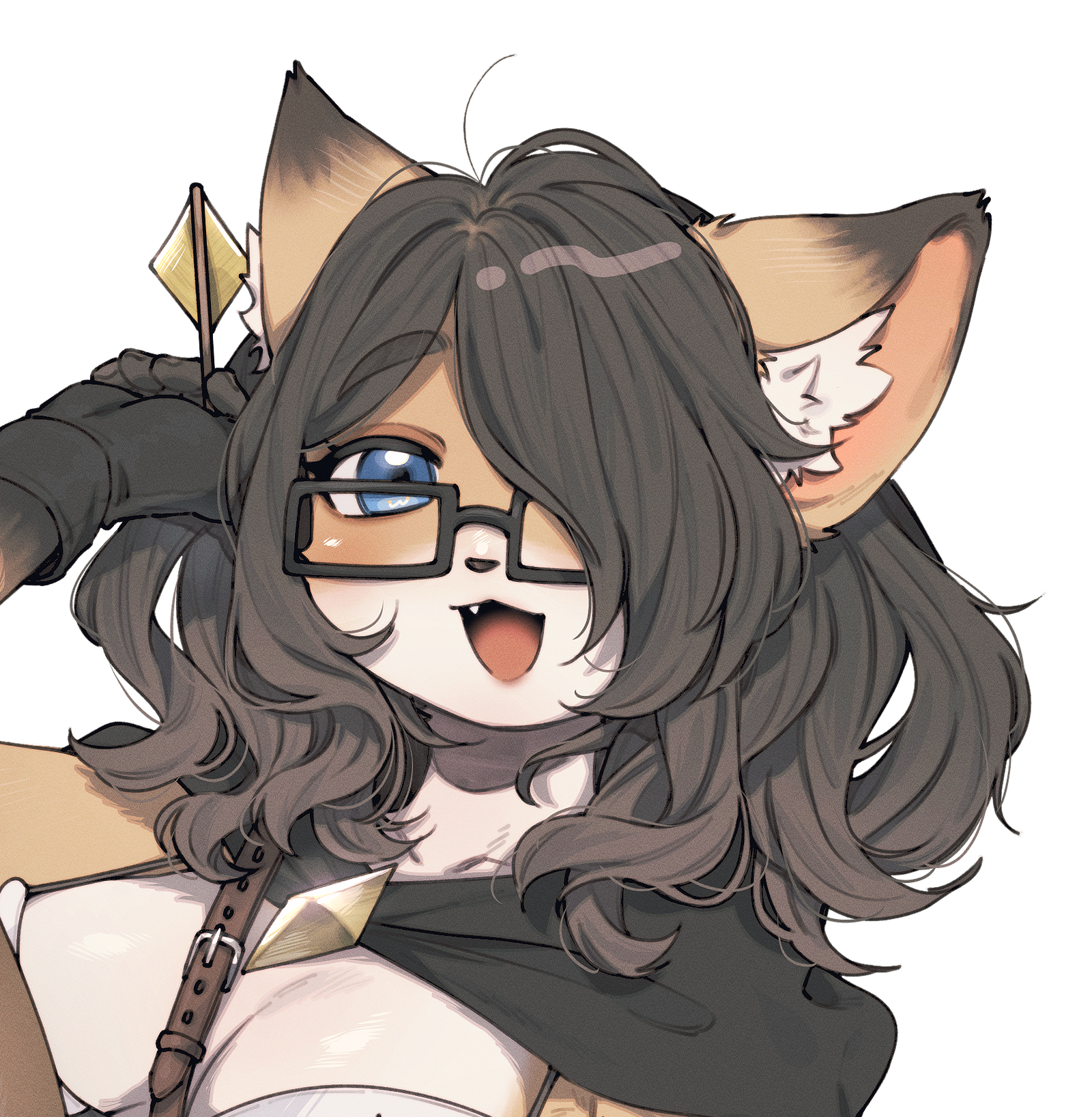 KuroTheFox