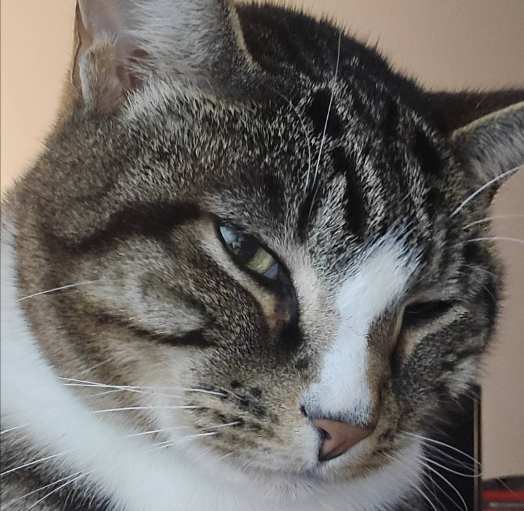 Mewxix