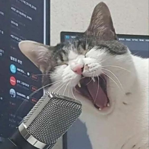 Mango_Rafun