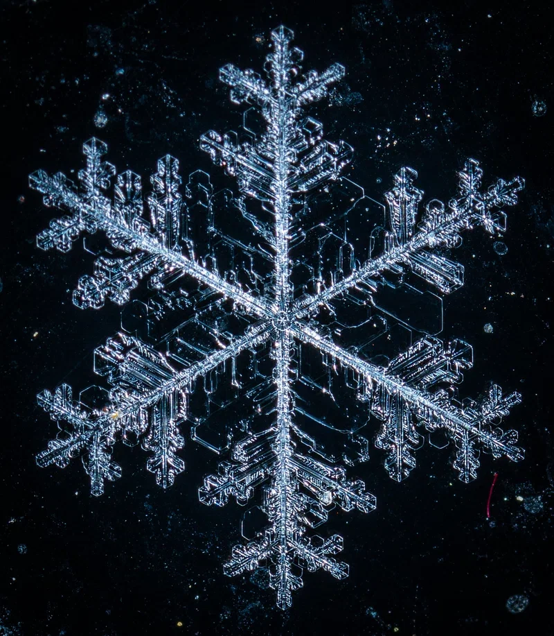 Frosty
