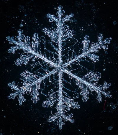 Frosty