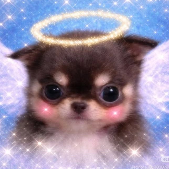 pikaboo