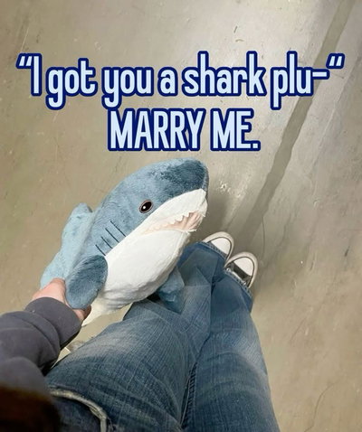 Ladyshark?
