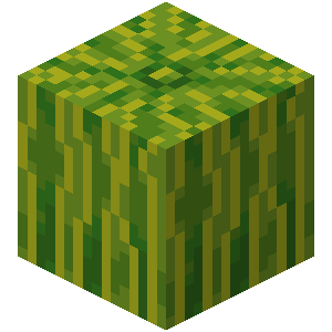 MelonGaming1228