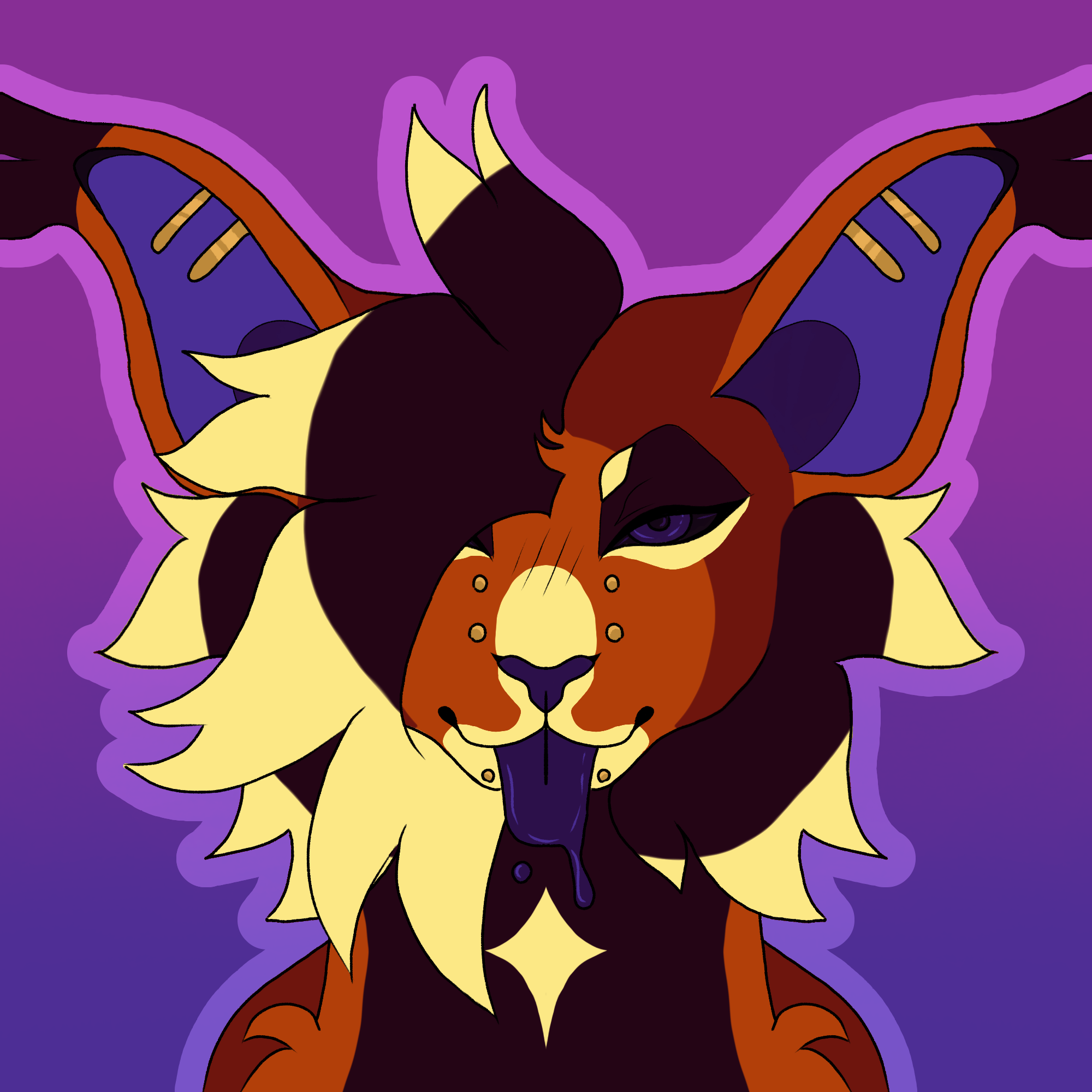 Raccoon