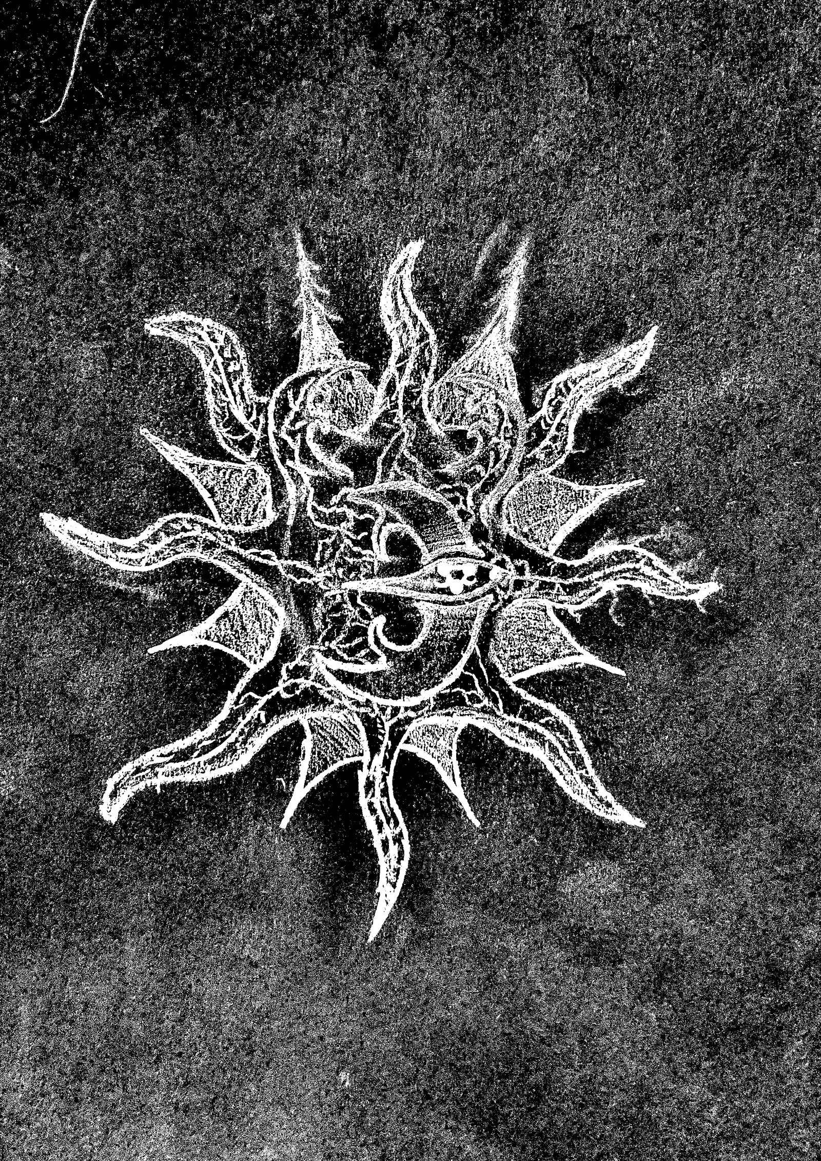 MementoMortem